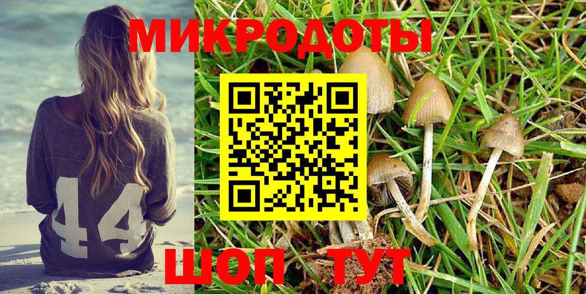Псилоцибиновые грибы ЛСД Кольчугино